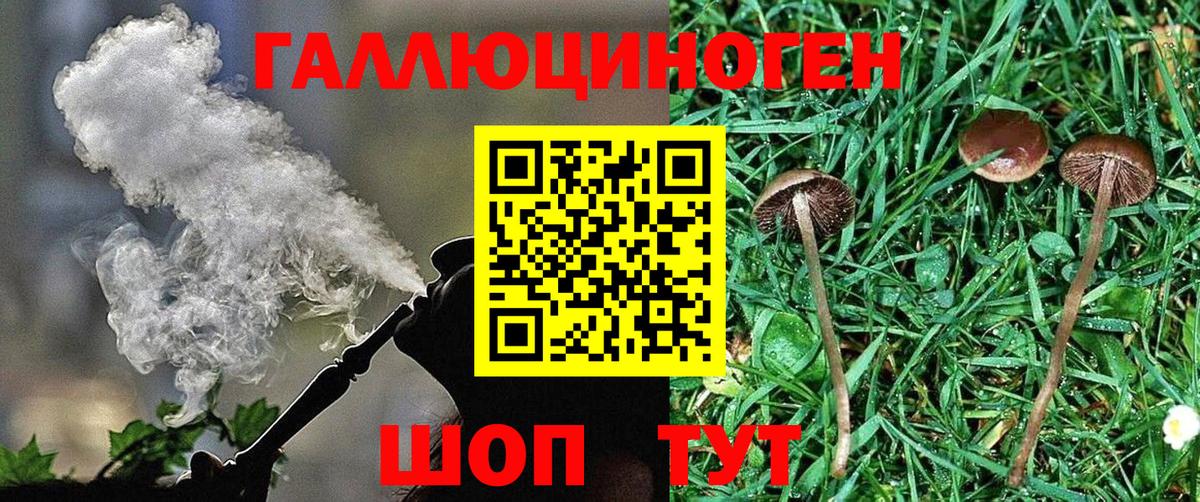 Галлюциногенные грибы Cubensis  где купить наркоту  Петрозаводск  Вход с VPN 